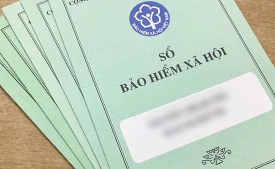 Sonadezi chậm đóng BHXH hơn 875 triệu đồng