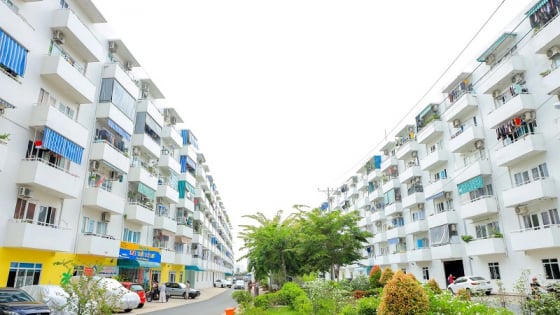 VARS: “Công thức” tài chính cho người trẻ muốn sở hữu nhà sớm