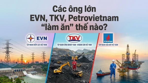 Nửa đầu năm, các ông lớn EVN, TKV, Petrovietnam “làm ăn” thế nào?