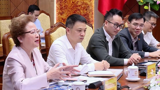 Tập đoàn BRG đề xuất phát triển một số dự án trọng điểm tại Hưng Yên