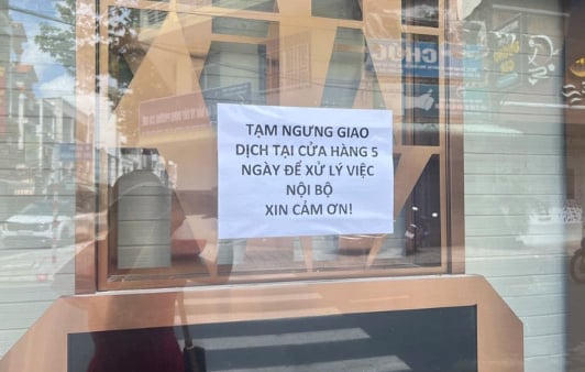 Kimberly Diamond, Cao Hùng, Hồng Phúc đồng loạt tạm ngưng giao dịch Kimberly Diamond, Cao Hùng, Hồng Phúc đồng loạt tạm ngưng giao dịch