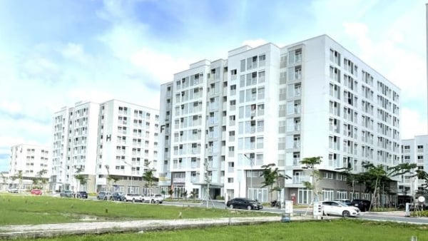 Chủ tịch Hà Nội chỉ thị khởi công tiếp 114 dự án nhà ở xã hội