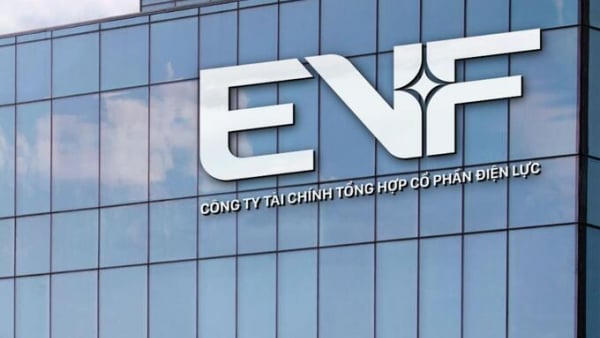 EVF ghi nhận lợi nhuận 6 tháng đầu năm 2026 tăng gần 16,9%
