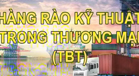 Hàng rào kỹ thuật trong thương mại: Động lực nâng chuẩn chất lượng hàng hóa Việt Nam Hàng rào kỹ thuật trong thương mại: Động lực nâng chuẩn chất lượng hàng hóa Việt Nam