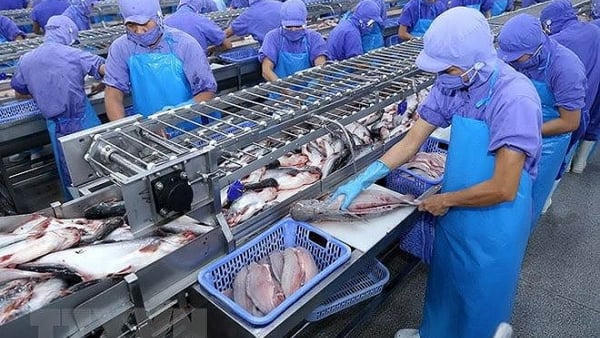 Vĩnh Hoàn mắc kẹt với cổ phiếu bất động sản Vĩnh Hoàn mắc kẹt với cổ phiếu bất động sản