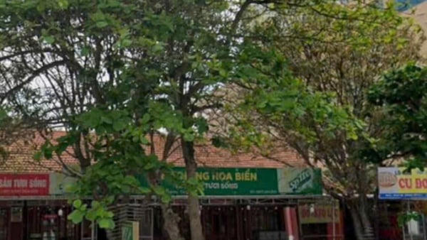 Giảm giá liên tục, mảnh đất rao bán của Tập đoàn Thiên Minh Đức vẫn chưa được “chốt”