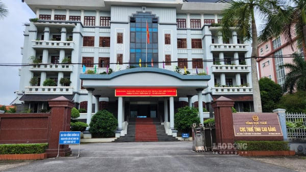 Công ty TNHH Đầu tư và Phát triển năng lượng Đông Bắc và nhiều doanh nghiệp Cao Bằng nợ thuế