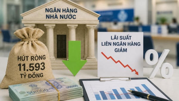 NHNN hút ròng gần 11.600 tỷ đồng, loạt ngân hàng bắt đầu giảm lãi suất NHNN hút ròng gần 11.600 tỷ đồng, loạt ngân hàng bắt đầu giảm lãi suất