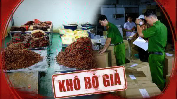 Khởi tố Giám đốc Trần Lê Foods, lộ đường dây sản xuất 65 tấn khô bò giả