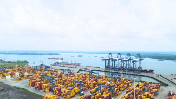 Xuất khẩu sang EU, doanh nghiệp Việt phải thay đổi gì? Xuất khẩu sang EU, doanh nghiệp Việt phải thay đổi gì?