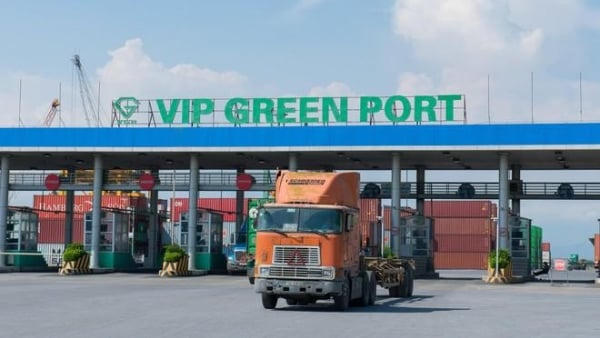 Cảng Xanh Vip muốn đầu tư thứ cấp 200 tỷ đồng trái phiếu với lãi suất 11,5%/năm