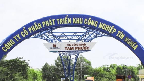 TIP tạm ứng cổ tức đợt 1/2026 bằng tiền, tỷ lệ 12%