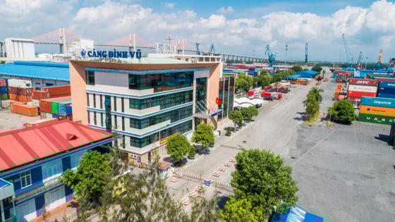 Cảng Đình Vũ (DVP) chốt quyền chia cổ tức 30% bằng tiền mặt