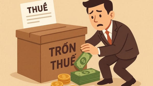Trốn thuế có thể bị phạt tới 3 lần số tiền thuế trốn Trốn thuế có thể bị phạt tới 3 lần số tiền thuế trốn