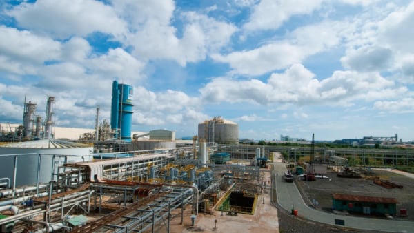 Đạm Phú Mỹ thực hiện 192% kế hoạch lợi nhuận năm sau 6 tháng Đạm Phú Mỹ thực hiện 192% kế hoạch lợi nhuận năm sau 6 tháng
