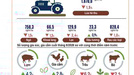 Tình hình kinh tế - xã hội 8 tháng