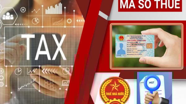 Gần 95.000 doanh nghiệp, tổ chức hoàn tất chấm dứt hiệu lực mã số thuế