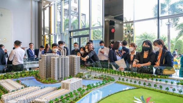 Môi giới bất động sản không có chứng chỉ có thể bị phạt đến 60 triệu đồng
