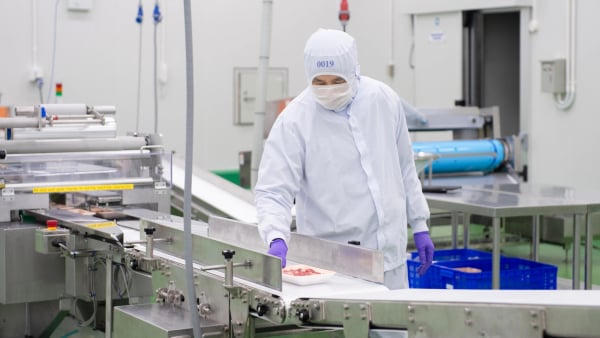 Vốn FDI vào Tp.HCM tăng mạnh, vượt 10 tỷ USD