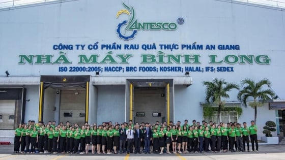 Antesco chào bán 20 triệu cổ phiếu với giá 10.000 đồng/cổ phiếu Antesco chào bán 20 triệu cổ phiếu với giá 10.000 đồng/cổ phiếu