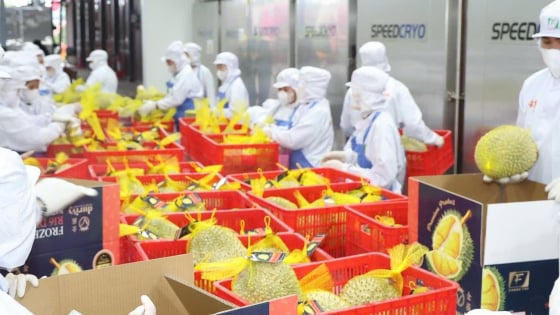 Xuất khẩu rau quả Việt Nam vượt mốc 6,15 tỷ USD sau 8 tháng