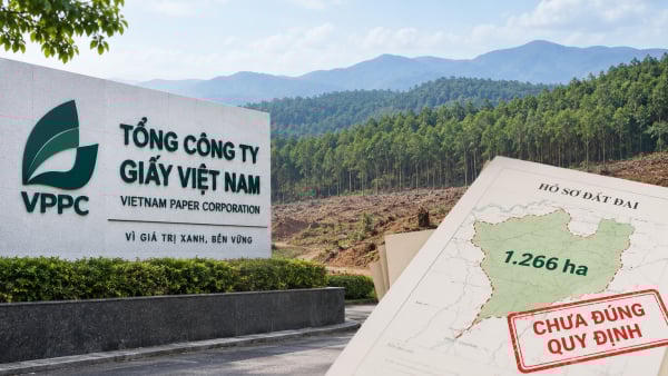 Hơn 1.260 ha đất sử dụng chưa đúng quy định tại Tổng công ty Giấy Việt Nam Hơn 1.260 ha đất sử dụng chưa đúng quy định tại Tổng công ty Giấy Việt Nam
