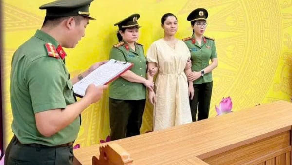 Giám đốc Công ty Explore Ha Giang bị bắt điều tra về tội trốn thuế Giám đốc Công ty Explore Ha Giang bị bắt điều tra về tội trốn thuế