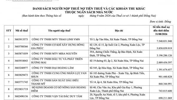 Gần 1.700 doanh nghiệp ở Đồng Nai nợ hơn 46 tỷ đồng tiền thuế và các khoản thu ngân sách