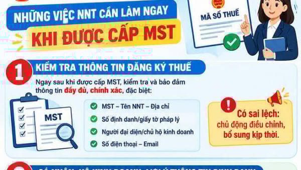 Ba việc người nộp thuế cần làm ngay sau khi được cấp mã số thuế Ba việc người nộp thuế cần làm ngay sau khi được cấp mã số thuế