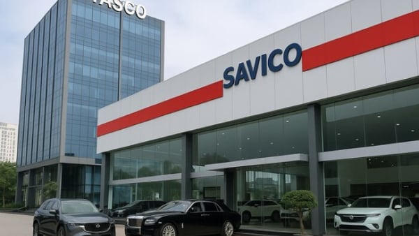 Tasco nắm Savico, vì sao lãnh đạo liên tục thay đổi?