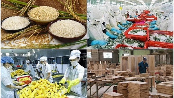 Nông, lâm, thủy sản xuất siêu gần 17 tỷ USD