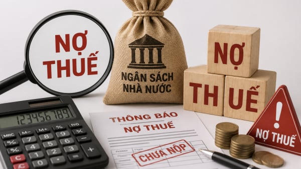 S-Solution Vina, Xây dựng Hồng Hà Vĩnh Phúc... nợ thuế