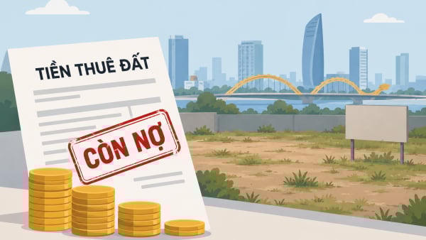 Đất công Đà Nẵng: Có nơi bỏ hoang 21 năm, có nơi hơn 1.800 m² bị lấn chiếm
