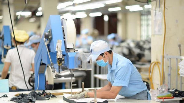 Gần 25.000 doanh nghiệp gia nhập, 19.000 doanh nghiệp rút khỏi thị trường trong 1 tháng