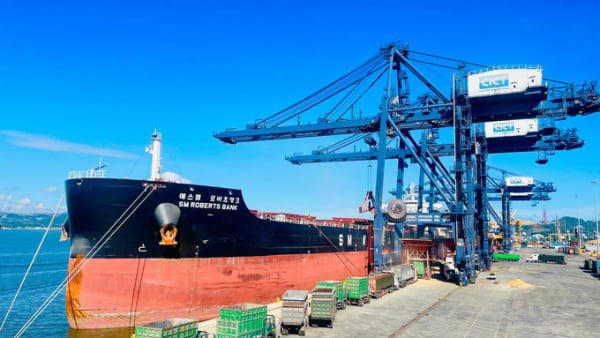 Cán cân thương mại hàng hóa nhập siêu gần 20 tỷ USD