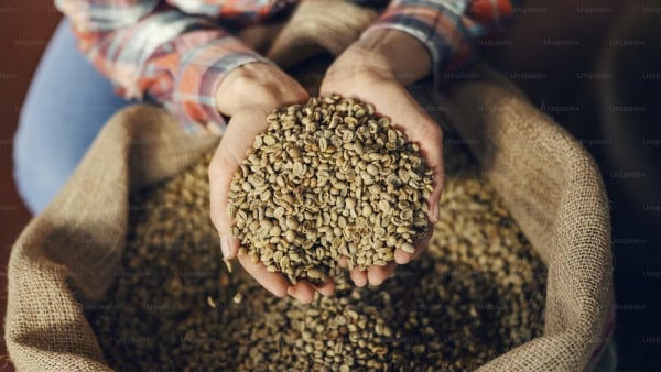 Xuất khẩu cà phê hơn 6 tỷ USD, làm sao tăng thêm giá trị?