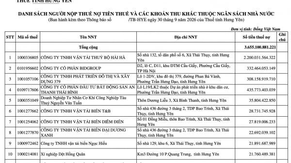 Vận tải Thủy bộ Hải Hà, Bất động sản An Thanh Thái Bình đứng đầu nợ thuế tại Hưng Yên Vận tải Thủy bộ Hải Hà, Bất động sản An Thanh Thái Bình đứng đầu nợ thuế tại Hưng Yên