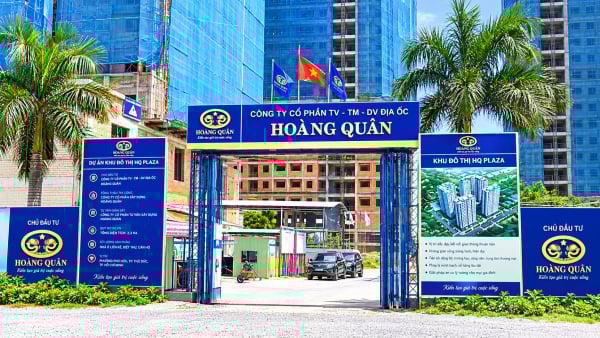 Loạt doanh nghiệp liên quan đến Địa ốc Hoàng Quân nợ thuế