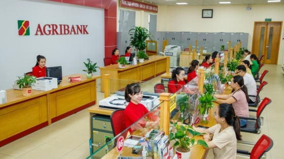 Nhiều ngân hàng đồng loạt giảm lãi suất, chia sẻ với doanh nghiệp