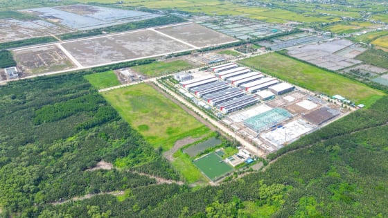 TICCO: Doanh thu quý 3 tăng 11%, tiếp tục đầu tư mở rộng TICCO: Doanh thu quý 3 tăng 11%, tiếp tục đầu tư mở rộng