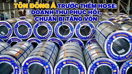 Tôn Đông Á trước thềm HOSE: Doanh thu phục hồi, chuẩn bị tăng vốn Tôn Đông Á trước thềm HOSE: Doanh thu phục hồi, chuẩn bị tăng vốn