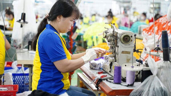 Doanh thu nào được tính để xác định điều kiện giảm 30% thuế TNDN? Doanh thu nào được tính để xác định điều kiện giảm 30% thuế TNDN?