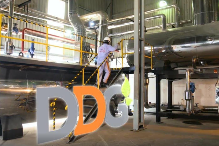 DDG báo lỗ kỷ lục, “trắng” doanh thu trong quý IV/2025