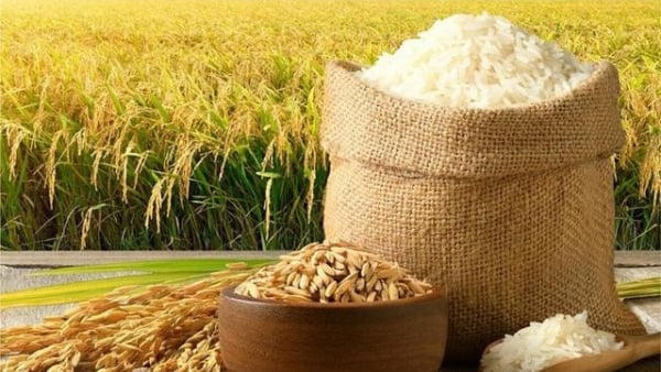 Thái Lan xuất khẩu gạo đạt 7,9 triệu tấn năm 2025