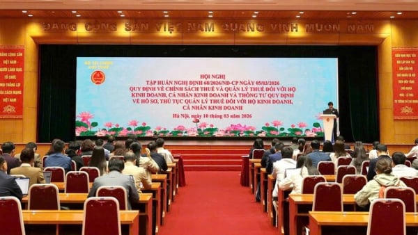 Cục Thuế tập huấn triển khai chính sách và quản lý thuế với hộ kinh doanh