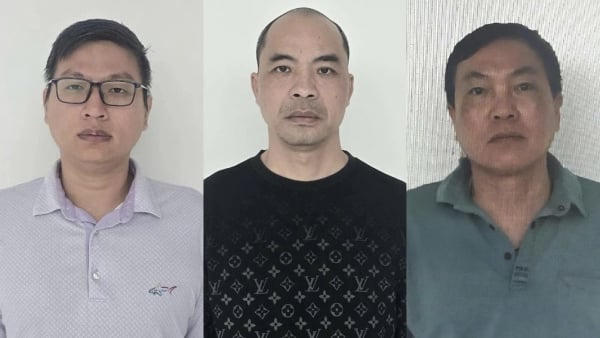 Tuyên Quang: Ba giám đốc trốn thuế hơn 1,8 tỷ đồng