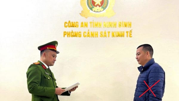 Khởi tố 2 giám đốc ở Ninh Bình tội trốn thuế