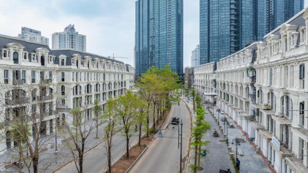 Sau kiểm toán, Sunshine Group báo lãi gần 11.300 tỷ trong 2025, tăng hơn 11 lần so với năm trước