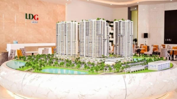 Đầu tư LDG lên kế hoạch lãi 201,6 tỷ đồng trong năm 2026