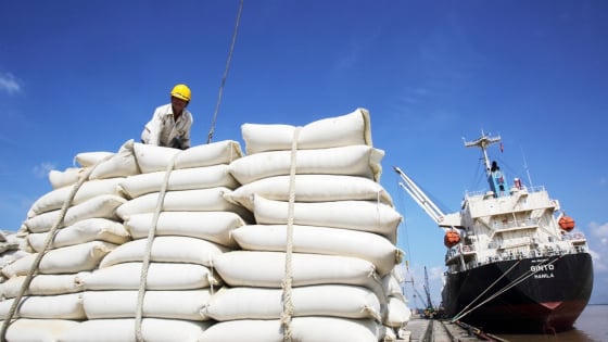4 tháng đầu năm, xuất khẩu gạo thu về khoảng 1,5 tỷ USD